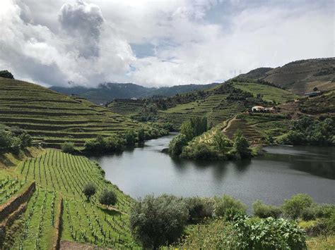 Guide To The Douro Valley From Porto Portugals Most Famou