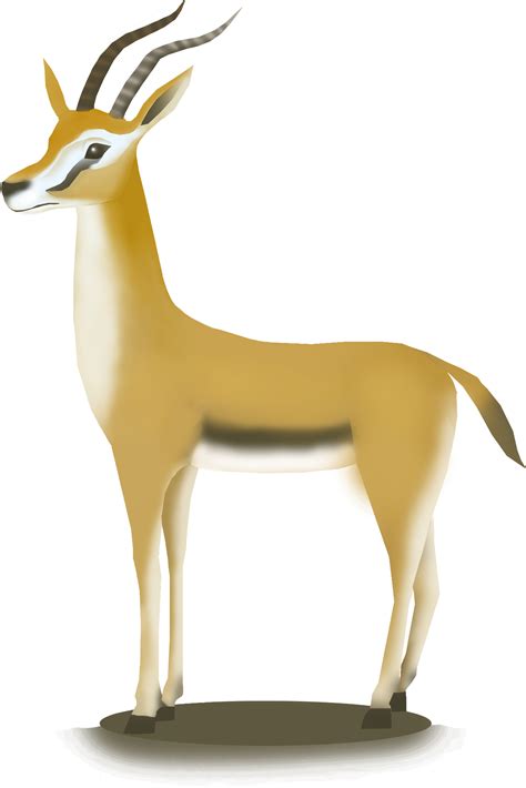 gazelle antelope png hq pic png arts