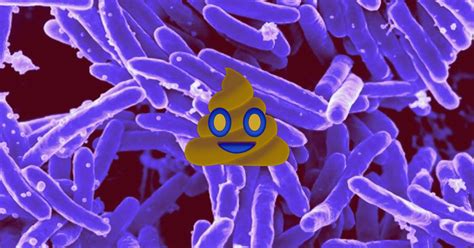 A Purple Photosynthetic Bacteria Can Turn Your Poop Into Power