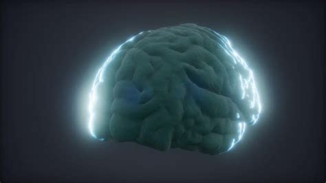 Loop Rotating Human Brain Animation Stock Video Envato Elements
