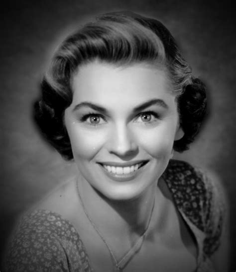 Joanne Dru Old Hollywood Actresses Hollywood Actor Movie Stars