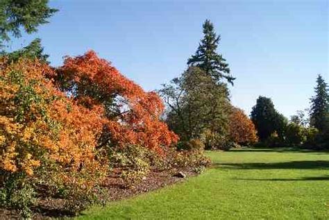 Vandusen Garden Fall Colours Vancouvers Best Places
