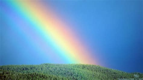 Rainbow Bing Rainbow Wallpaper Iphone Rainbow Wallpaper Wonders