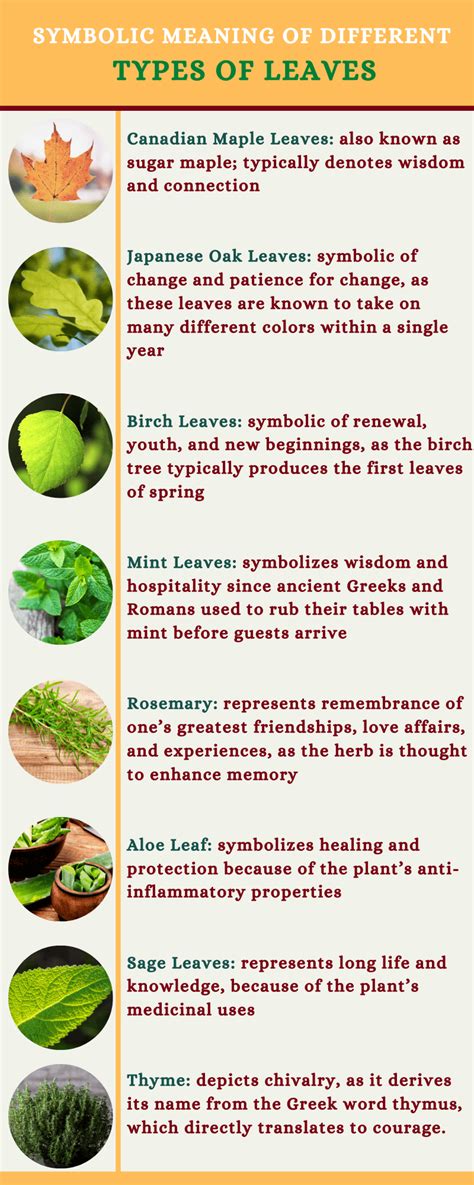 Symbolism Of Leaves And What They Mean Symbol Sage