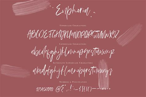 Euphoria Handwritten Font 226166 Script Font Bundles