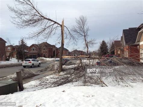 Ice Storm Damage Photos And Premium High Res Pictures Getty Images
