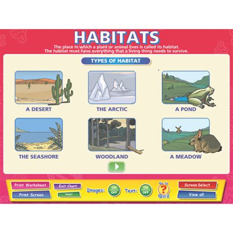 Top 197 Types Of Animal Habitat