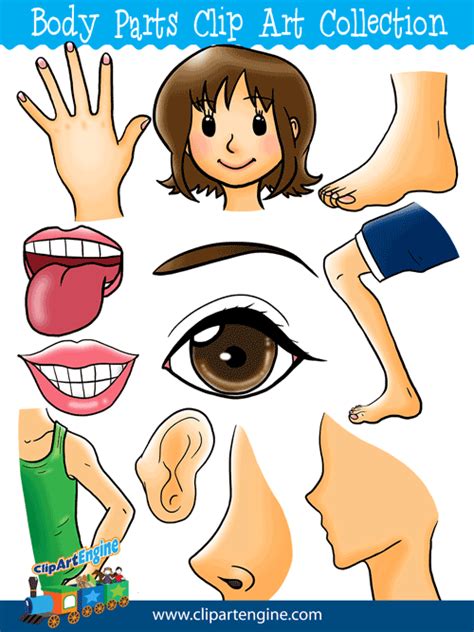 Body Parts Clip Art Collection For Personal And Commercial Use