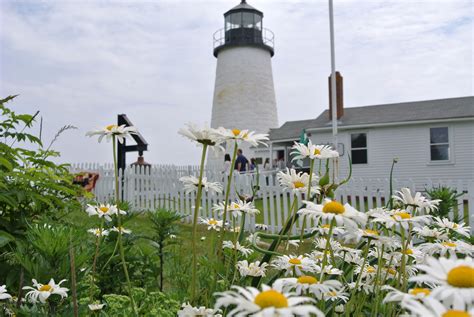 Pemaquid Lighthouse In Maine