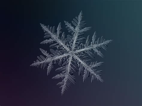 How Do Snowflakes Form How It Works Magazine