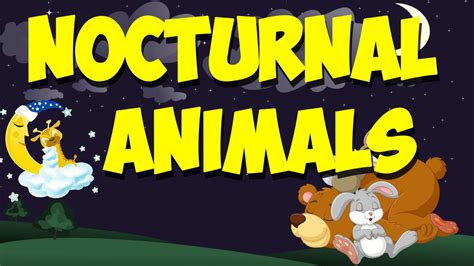 92 Nocturnal Animals List For Kids Nieyaspejals