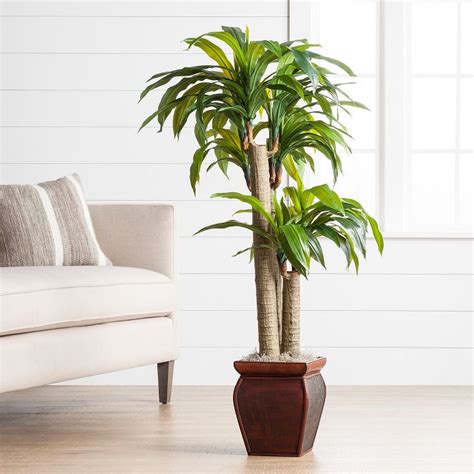 Shop all decor featured sales new arrivals clearance decor advice. Artificial Flowers & Plants, Home Accents, Home Decor : Target