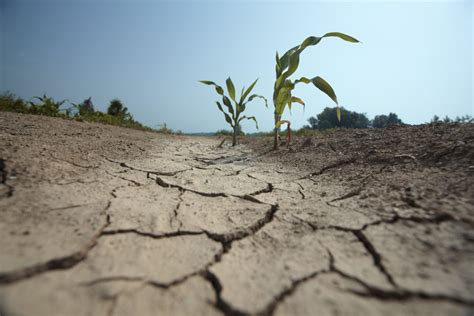 Hot Dry Years Will Hit Many Regions Simultaneously Stanford News