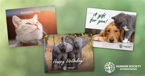 Humane Society International