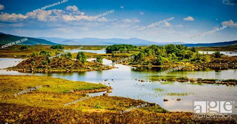 Loch Ba On Rannoch Moor Highlands Of Scotland Stock Photo Picture