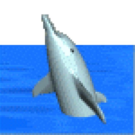 Search more hd transparent animated gif image on kindpng. Scratch Studio - The dolphins