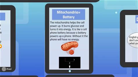 4 nucleus the nucleus would be the user because he/she controls what the phone does like a nucleus controls a cell. "Cell" Phone Analogy - YouTube