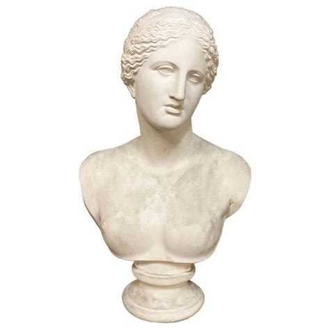 Midcentury Life Size Plaster Bust For Sale At 1stdibs