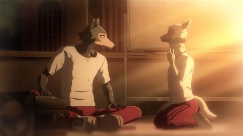 Beastars Season 3 Confirmed Will It Be The Final Season Anime Troop