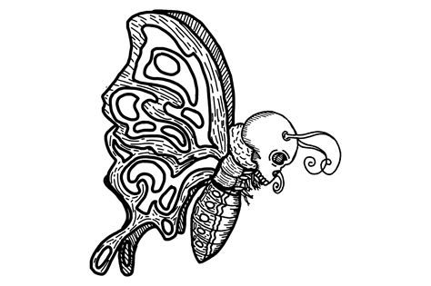 Coloring Of Butterfly Demon Beast Monster With Skeleton Head