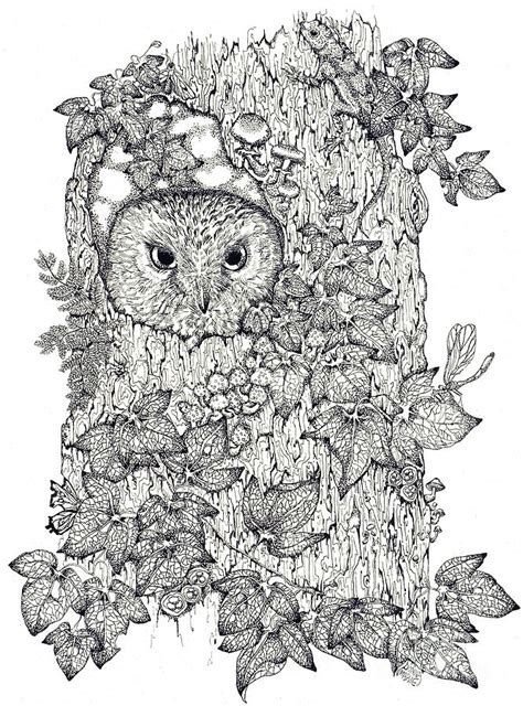 Owl print, owl decor, owl ink print, owl art, owl drawing, owl illustration, owl artwork, owl ink drawing, owl a print which has been made from my original ink drawing of a beautiful barred owl. Pen And Ink Owl Drawing by Donna Genovese