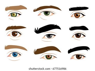 Human Eyes Stock Vector Royalty Free Shutterstock