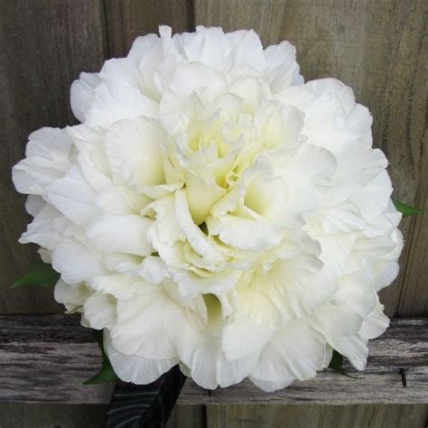 We carry a large selection of wedding bouquets including bridal bouquets. Gladiolus Composite wedding bouquet | Blog Post Ideas ...