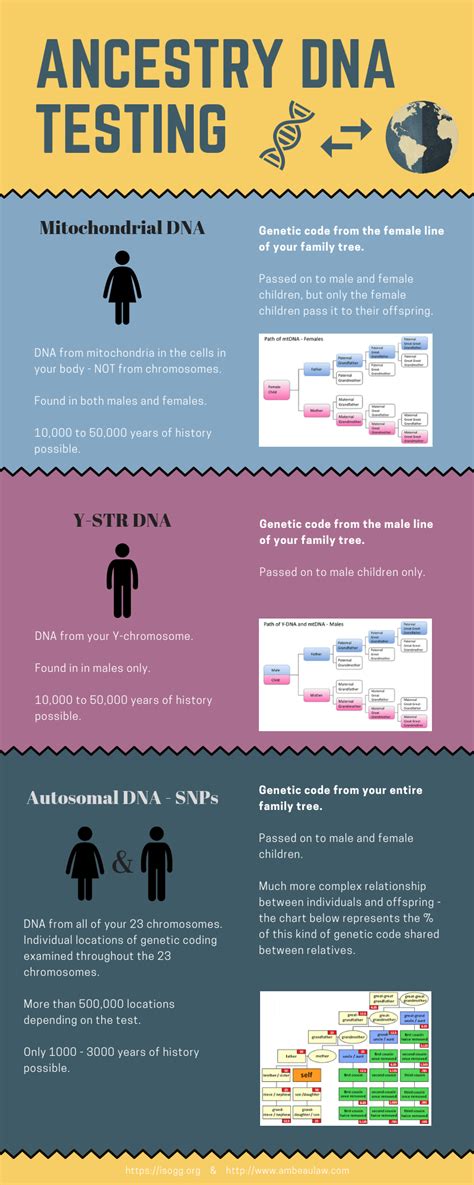 Ancestry Dna Testing Info Infographic
