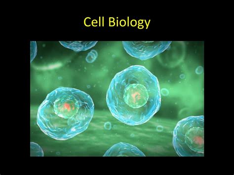 PPT Cell Biology PowerPoint Presentation Free Download ID