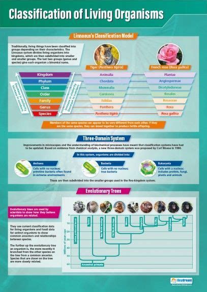 Classification Of Living Organisms Poster Science Teaching Resources