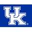 Kentucky Wildcats Alternate Logo  NCAA Division I M