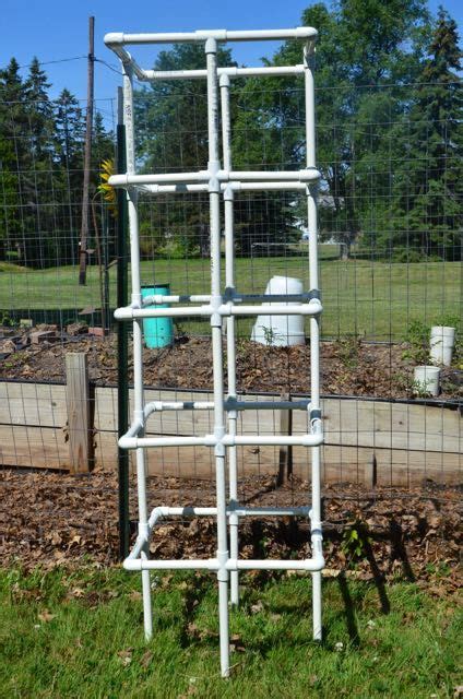 10 Tomato Cages From Pvc Ideas In 2021 Tomato Cages Pvc Cage