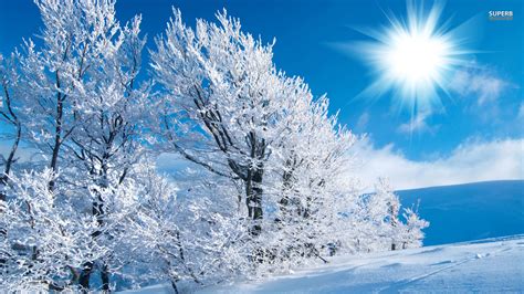 Free Download Winter Wallpapers Best Wallpapers 1920x1080 For Your