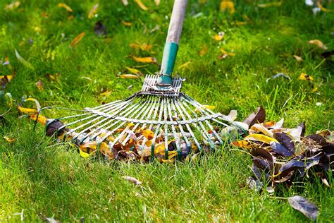 Call now & save 50% on your lawn plan. Blog