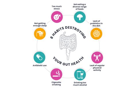 8 Lifestyle Habits Destroying Your Gut Health Gut Performance