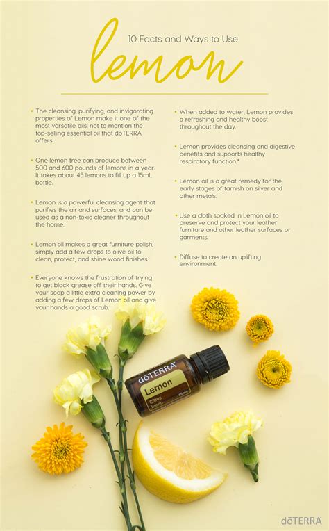 Lemon Oil Uses and Benefits dōTERRA Essential Oils Essential oils