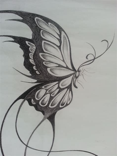Original Design Of A Large Butterfly Easy Butterfly Drawing
