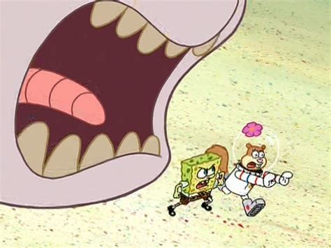 Sandy Spongebob And The Worm Encyclopedia Spongebobia Fandom