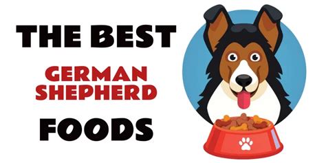 Top 10 Best Food Products For German Shepherds