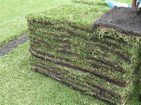 Centipede 504 Sq Ft Atlanta Sod Company