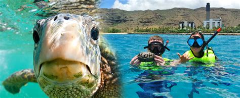 Hawaii Real Nature West Oahu Tour And Snorkeling Adventure Hawaii