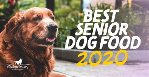 The Best Senior Dog Food Of 2020 Canine Country
