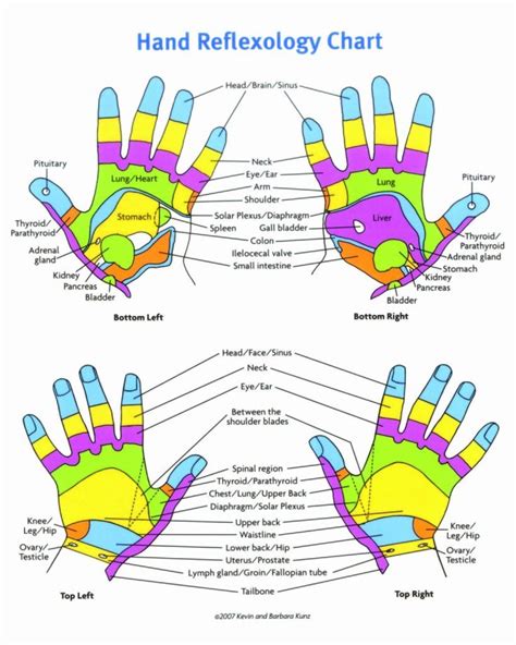 Hand And Foot Reflexology Chart