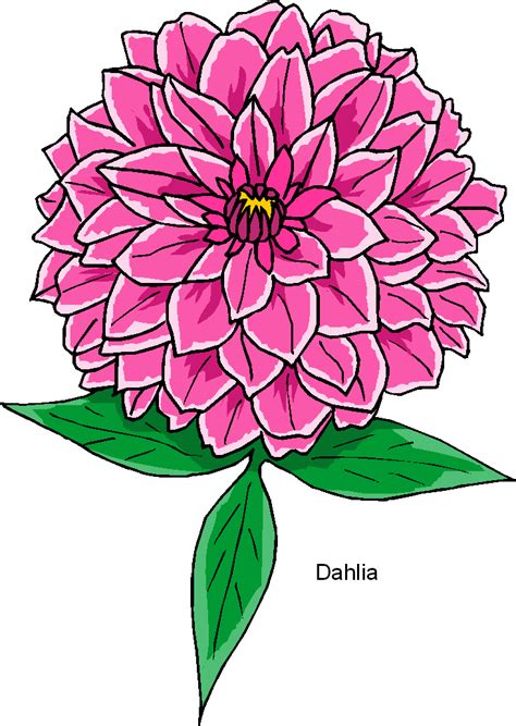 Free Dahlia Cliparts Download Free Dahlia Cliparts Png Images Free