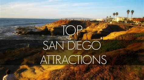 Top San Diego Attractions Outside The Cage