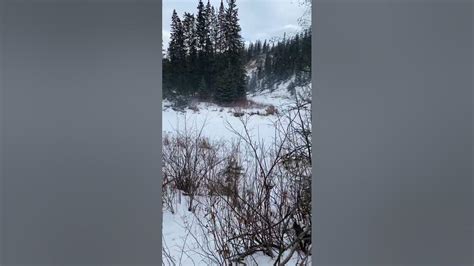 Whitemud Creek Edmonton Youtube