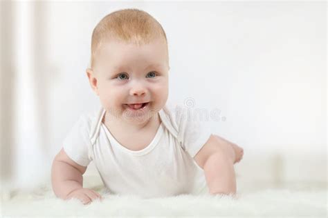 Little Newborn Baby Stock Photo Image Of Life Person 129140120