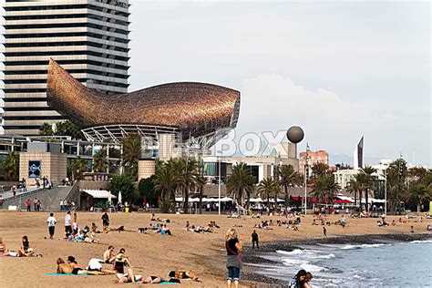 Barcelona bietet ihnen 4,2 kilometer goldener sandiger strände, nur 10 minuten vom stadtzentrum entfernt. Barcelona-Strand - Bilderbox Bildagentur GmbH