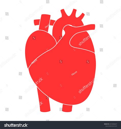 Human Heart Logo Cardiology Clinic Cardio: เวกเตอร์สต็อก (ปลอดค่า