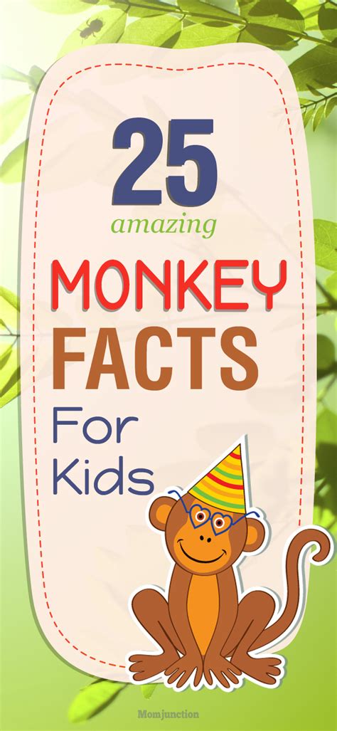 25 Fun Facts And Information About Monkey For Kids